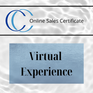 Virtual Experience Webinar Series
