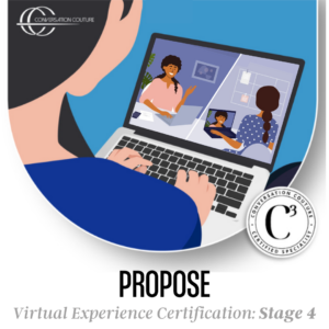 Virtual Experience Stage 4: Propose